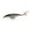 Воблер Rapala X-Rap XR10 (13гр, 10см, 1,2-1,8м) suspending MD