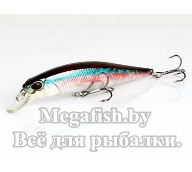 Воблер DUO Realis Jerkbait 100SP (100мм, 14.5 гр 0.8-1.5м) D13