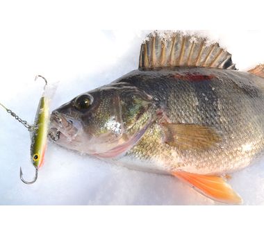 Балансир Rapala Flat Jig RFJ04 (16 гр, 4см) FB 2