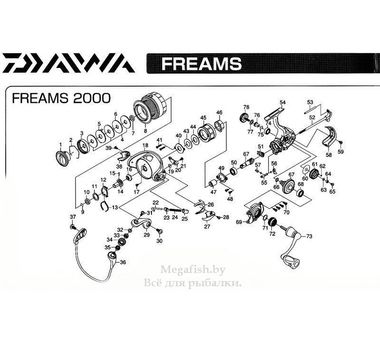 Катушка безынерционная Daiwa Freams 11 2000 8