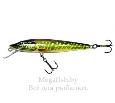 Воблер Salmo Pike PE 9F (9 гр; 9 см; 0.5-1 м) PE 2