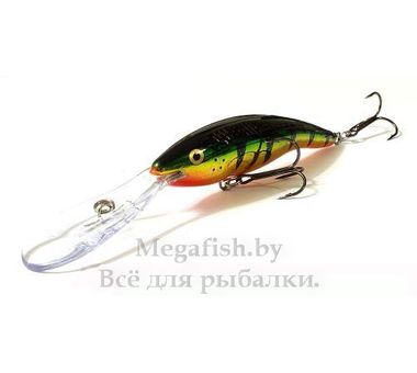 Воблер Rapala Deep Tail Dancer TDD09 (13гр 9см 2.5-6.0м) floating FLP