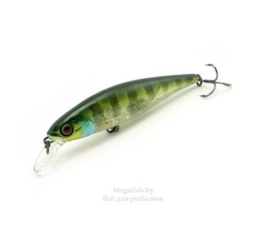 Воблер Jackall Squad Minnow 65SP (5,8гр 6,5см 0,8-1м) suspending skeleton gill