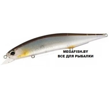 Воблер DUO Realis Jerkbait 120SP (18 гр; 12 см; 1-1.8 м) CCCZ170