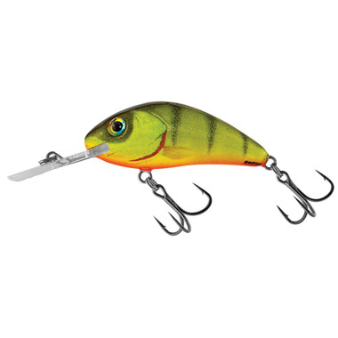 Воблер плавающий Salmo RATTLIN' HORNET 65F HPH