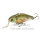 Воблер Lucky Craft LV 500GP Flake Flake Male Gill 228