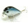 Воблер Lucky Craft Clutch SSR (7гр 4,5см 0-0,1м) floating 052 Aurora Black