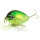 Воблер Lucky Craft Clutch SR (6,6гр 4,5см 0-0,6м) floating 5412 Lime Chart Tiger Воблер Lucky Craft Clutch SR (6,6гр 4,5см 0-0,6м) floating 5412 Lime Chart Tiger
