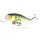 Воблер Rapala Super Shad Rap SSR14 (45гр, 14см, 1,5-2,7м) floating BG