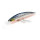 SL Shiner Current Master 11S-G-6361