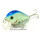 Воблер Clutch SR Blue Back Chart 198