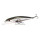 Воблер Pontoon 21 Cablista 105SP-SMR (13.2 гр; 10.5 см; 1.2-1.8 м) 051