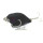 Воблер Jackall Chubby 38F (4 гр; 3.8 см; 0.5-1 м) mat black