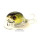 Воблер Jackall Chubby 38F SSR (4.2 гр; 3.8 см; 0.5 м) ayu