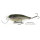 Воблер Rapala Super Shad Rap 14 (45 гр; 14 см; 1.5-2.7 м) SPK