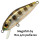 Воблер Pontoon 21 Crackjack 58SP-SR (5 гр; 5.8 см; 0.8-1 м) 108