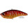 Воблер DUO Realis Apex Vibe 100 (10 см; 32 гр) CCC3354