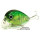 Воблер Lucky Craft Clutch SSR (7 гр; 4.5 см; 0.1 м) Lime Chart Tiger 911