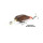 Воблер Pontoon21 Cheerful 34F-MR (1.6 гр; 3.4 см; 0.6-1 м) R42