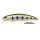 Воблер DUO Tide Minnow 75F (8 гр; 7.5 см; 0.2-0.5 м) ANAZ072