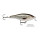 Воблер Rapala Shallow Shad Rap 07 (7 гр; 7 см; 0.9-2.4 м) ROL