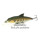 Воблер Tsuribito Baby Shark 70F(5.5гр,7см,1.0-1.5м) floating цвет 089