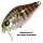 Воблер Zipbaits Craze B-Switcher Rattler (6.5 гр; 4.2 см; 0.2 м) 509R