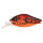 Воблер ZIPBAITS Speed Kid , 56 мм, 7.5гр., 0,8-1,0 м. плавающий цвет № 054
