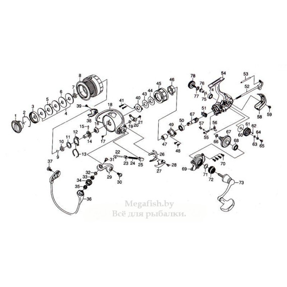 Катушка безынерционная Daiwa Freams 11 2508 8