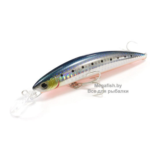 SL Shiner Current Master 11S-G-6361