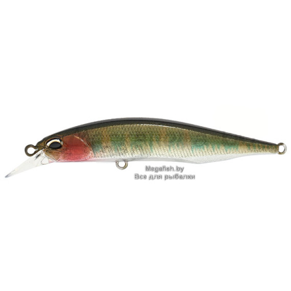 Воблер DUO Realis Jerkbait 85SP (8 гр; 8.5 см; 1.3-1.8 м) CCC3313