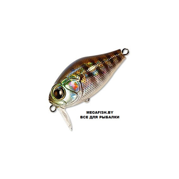 Воблер Zipbaits Craze B-Switcher Rattler (6.5 гр; 4.2 см; 0.2 м) 509R