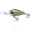 rapala-risto-rap-rr07-alb