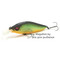 Vobler-Flap-Slap-LBO-Seethrough-Mat-Tiger