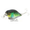 hl-blue-gill