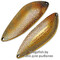 Blesna-Pontoon-21-Sampliora-G20-002