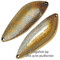 Blesna-Pontoon-21-Sampliora-G22-202
