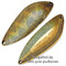 Blesna-Pontoon-21-Sampliora-G47-704