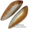 Blesna-Pontoon-21-Sampliora-G52-205