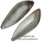 Blesna-Pontoon-21-Sampliora-S40-004