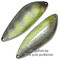 Blesna-Pontoon-21-Sampliora-S48-804
