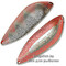 Blesna-Pontoon-21-Sampliora-S64-606
