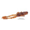 Crazy-Fish-Crayfish-57-6