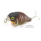 Vobler-Jackall-Chubby-38F-bug-tiger