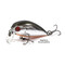 Pontoon21-Hypnose-38F-SSR-051