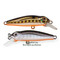 Strike-Pro-Midge-40-A70-613-SBO