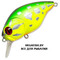 Pontoon21-TabaTao-50F-SR-071