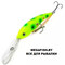Hitfish-Balanar-103