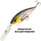 Hitfish-Balanar-303