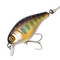 Vobler-Jackall-Chubby-38F-iwana